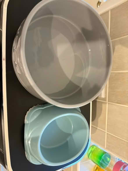 Photo of free Pet bowls (Axminster) #2