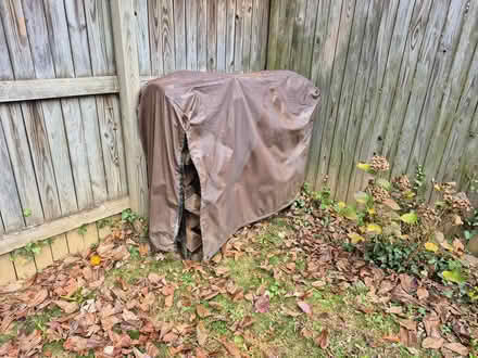 Photo of free firewood (20817) #1