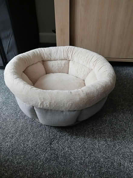 Photo of free Pet bed (Wallisdown BH12) #1