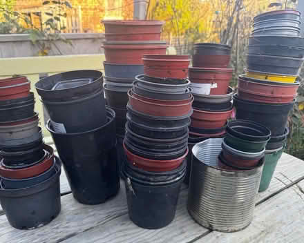 Photo of free 100 used plastic flower pots (Humphrey's End GL6) #2