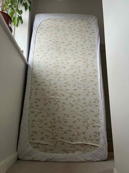 Photo of free Single mattresses (PO19 Chichester) #2