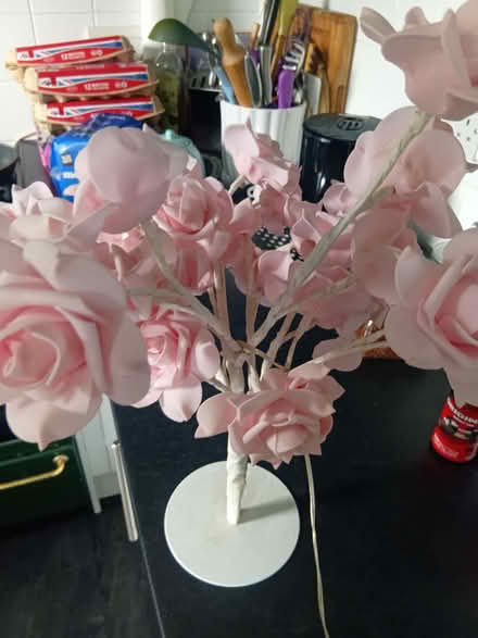 Photo of free Pink rose light (Marsh LA1) #1