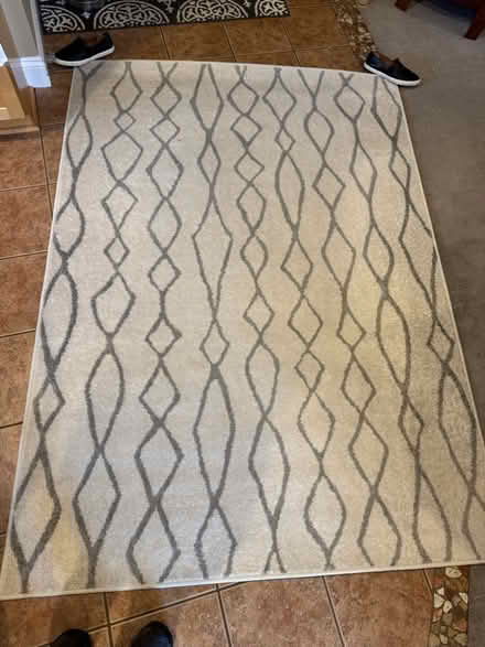 Photo of free 5’ x 7’ area rug (Troy, off Adams bet BB/Wattles) #1
