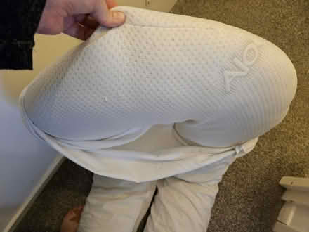 Photo of free Large pregnancy pillow with cover (CV8) #3