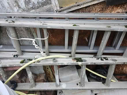 Photo of free Ladders (Morden) #1