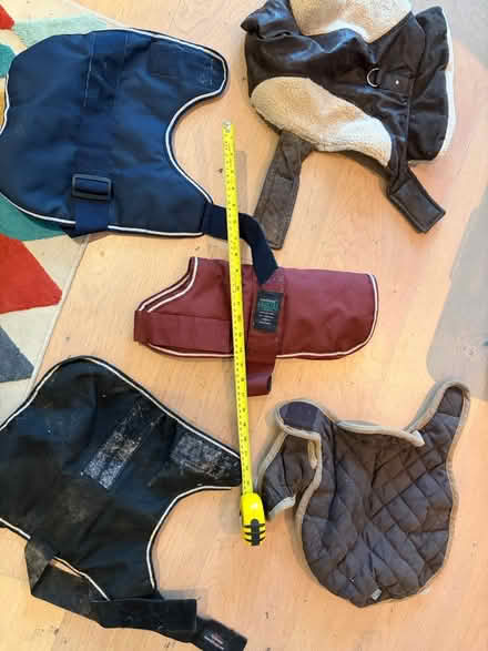 Photo of free Five winter dog coats (Central Tonbridge TN9) #1
