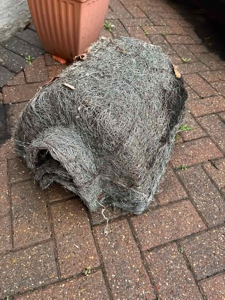 Photo of free Hedgehog house (Enfield EN1) #2