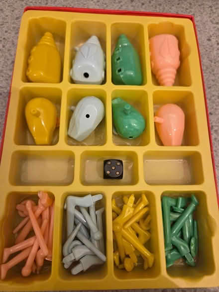 Photo of free Beetle game (Duffield) #2