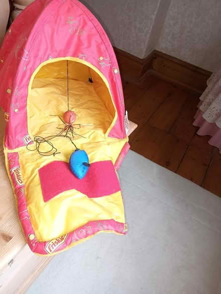 Photo of free Cat play tent (Chirk Bank LL14) #1