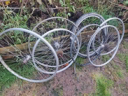 Photo of free 7 Bike wheels (Edinburgh EH20) #1