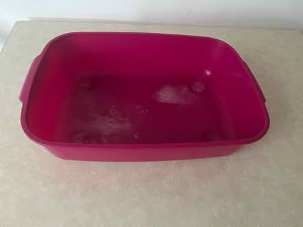 Photo of free Cat litter tray pink (CT11) #2