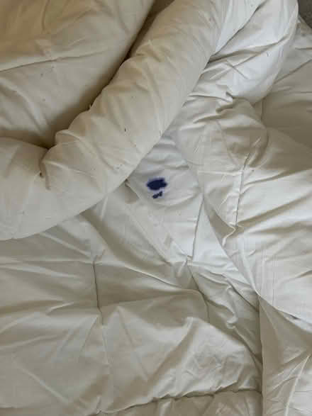 Photo of free Superking duvet (Maidenhead, SL6) #4