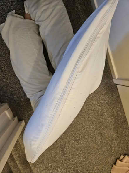 Photo of free Large pregnancy pillow with cover (CV8) #2