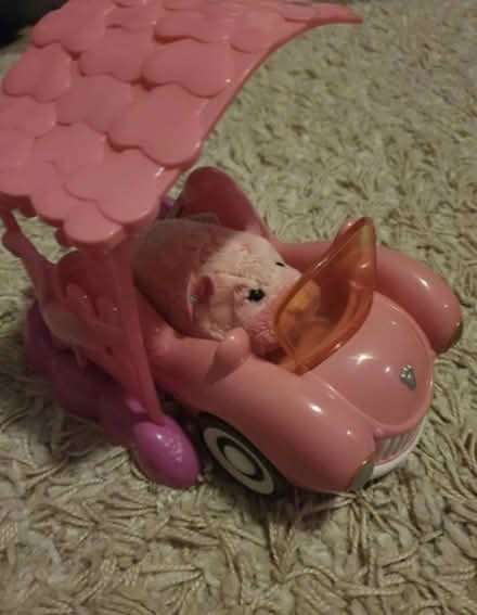 Photo of free Zhu Zhu pets (BS16) #3