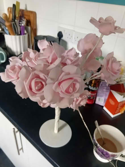 Photo of free Pink rose light (Marsh LA1) #2