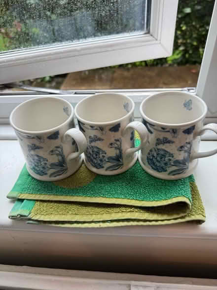 Photo of free Three mugs (Old Windsor SL4) #1