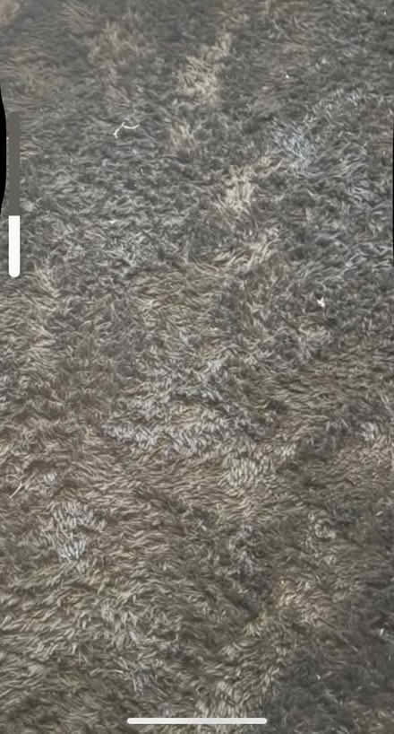 Photo of free Large rug (gobowen) #1