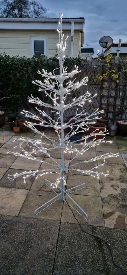Photo of free Outdoor indoor Christmas tree. (Shelton Lock DE24) #2