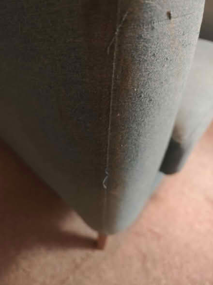 Photo of free Wing back chair (topsham) #3