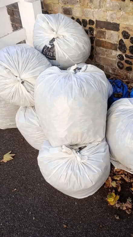 Photo of free Bags full of leaves (CT11) #2