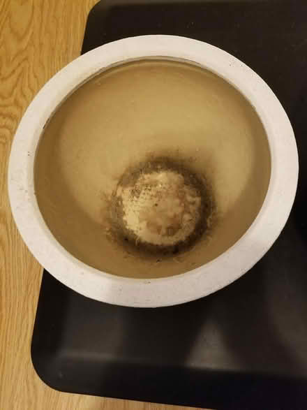 Photo of free Plant pots (Hunt Club) #4