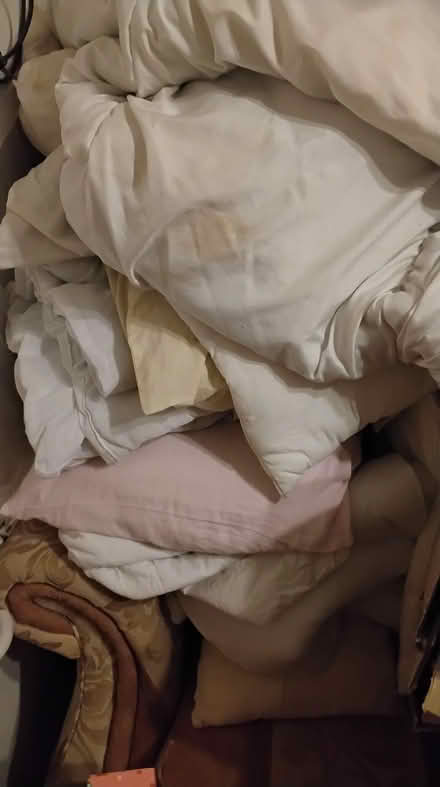 Photo of free Bedding. Duvets. Pillows. Useful for dog bedding etc. (Southport PR8) #1