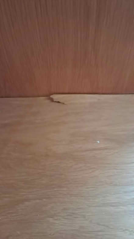 Photo of free Solud wood cupboard (Crouch end N8) #3