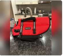Photo of free Life Vest for Small Pet (03087) #1