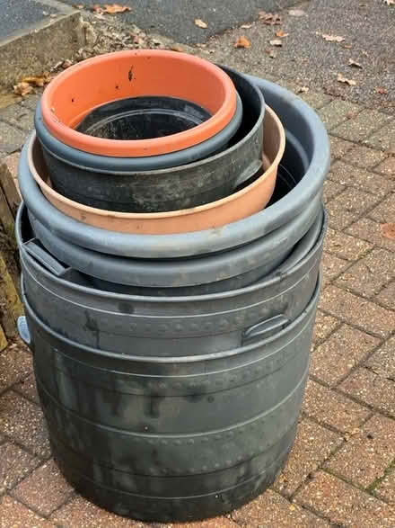 Photo of free More pots (St albans) #1