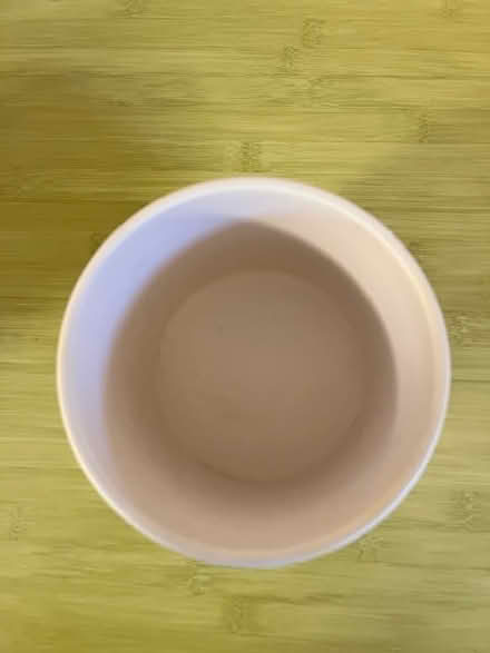 Photo of free White Ceramic Plant Pot (west of Watertown Square) #2