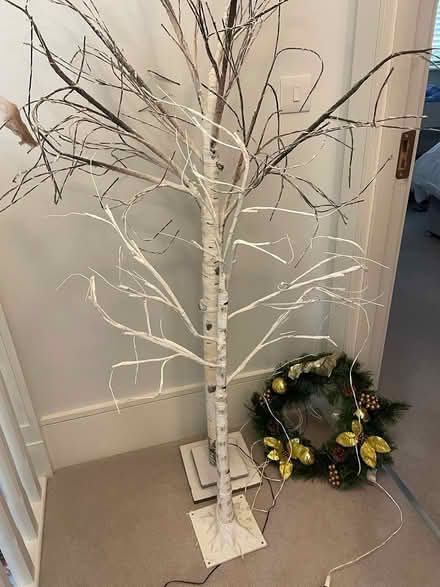 Photo of free Christmas birch trees and wreath (Churchtown) #1