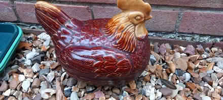 Photo of free Egg storage hen (Histon) #1