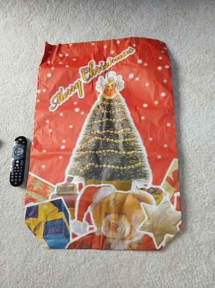 Photo of free Huge gift bags (Parkhead EH11) #2