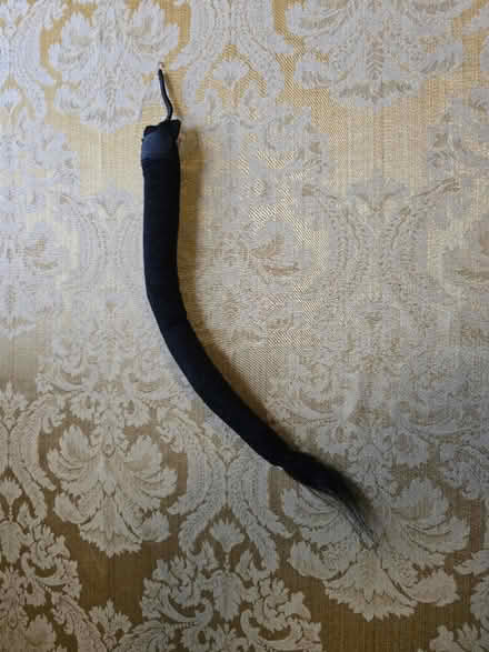 Photo of free Black pin-on Tail (West 7th) #1