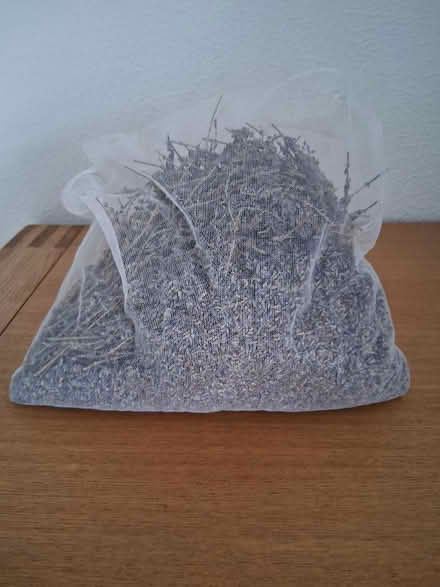Photo of free Dry lavender (Hoddesdon EN11) #2