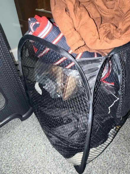 Photo of free Clothing and jackets (Bradford BD1) #2