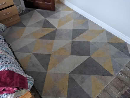 Photo of free Rug (Liverpool L19) #2