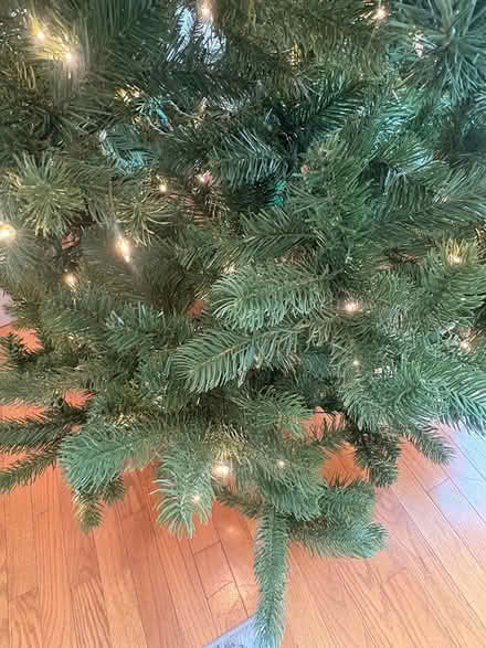 Photo of free 7’ pre-lit Christmas tree (West Plymouth) #4