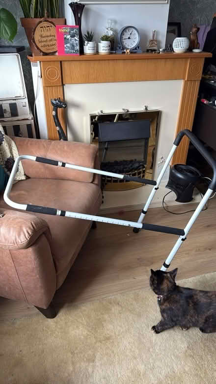 Photo of free Bed support (Sedgley, DY3) #1