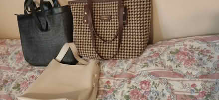 Photo of free Ladies purses/bags (East ham) #2