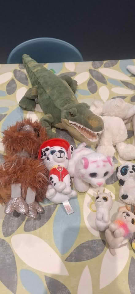 Photo of free Bundle of free soft toys (Berkhamsted HP4) #3