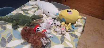 Photo of free Bundle of free soft toys (Berkhamsted HP4) #1