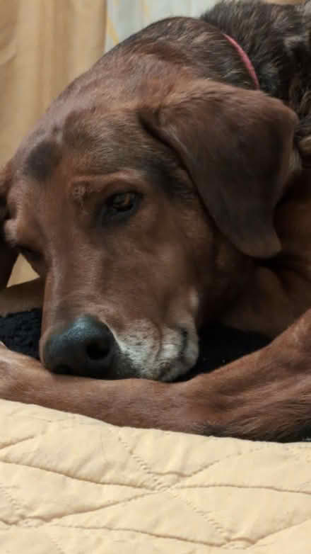 Photo of Tv (Dawlish EX7) #2