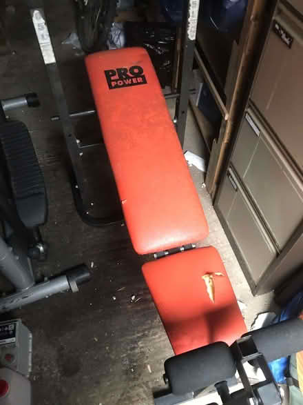 Photo of free Adjustable weight bench (Brigg DN20) #1