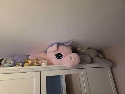 Photo of free Large Unicorn (IP32) #1