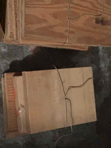 Photo of free Wood Remnants (Orléans) #3