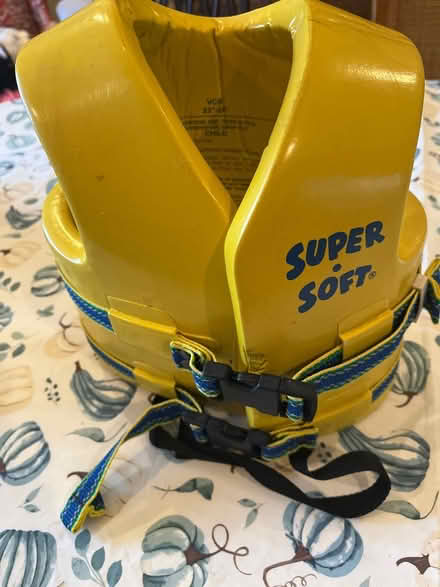 Photo of free Swim Vest for child (Farmington Hills) #1