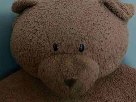 Photo of free bear chair (Spring Hill, Somerville) #2