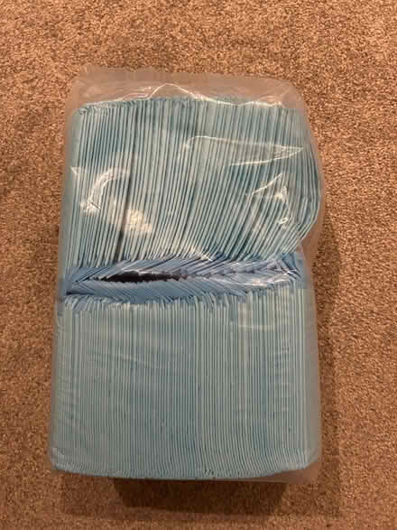 Photo of free Puppy training pads (Penrith CA11) #2