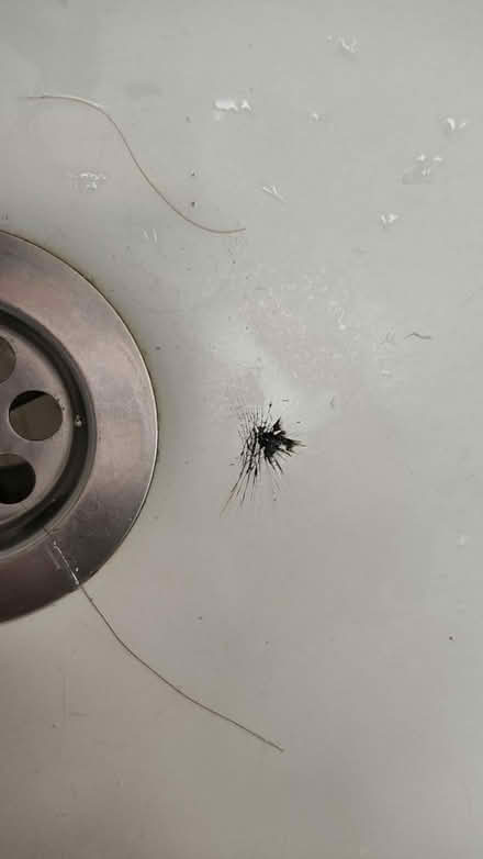 Photo of free Bath (St. Leonards TN37 6) #3